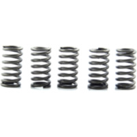 Clutch spring kit (5) CSK118