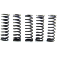 Clutch spring kit (5) CSK124