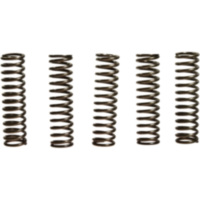 Clutch spring kit (5) CSK128