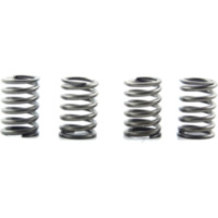 Clutch spring kit (4) CSK151 fitting for Kawasaki KEF Lakota Sport 300  2002, 21,5 PS, 15,8 kw