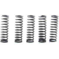 Clutch spring kit CSK169