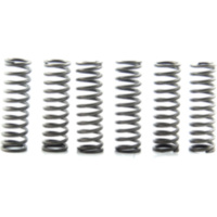 Clutch spring kit (6) CSK183