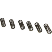 Clutch spring kit (6) CSK198