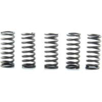 Clutch spring kit (5) CSK206