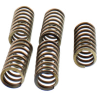 Ebc clutch spring set CSK188