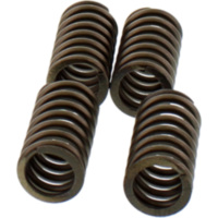 Ebc clutch spring set CSK199