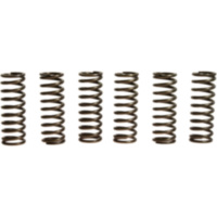 Clutch spring kit (6) CSK145