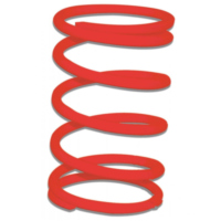 Thrust Spring 2916498R0