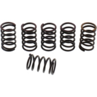 Clutch spring reinforced EBC -6 piece