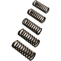 Clutch spring reinforced EBC CSK214