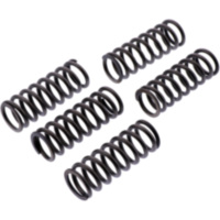 Clutch spring kit reinforced ebc CSK247