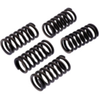 Clutch spring kit reinforced ebc CSK232