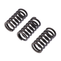 Clutch spring kit reinforced ebc CSK235