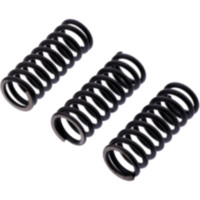 Clutch spring kit reinforced ebc CSK239