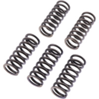 Clutch spring kit reinforced ebc CSK249