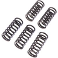 Clutch spring kit reinforced ebc CSK246