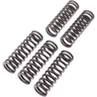 Clutch spring kit reinforced ebc CSK223