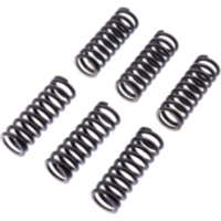 Clutch spring kit reinforced ebc CSK213