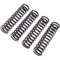 Clutch spring kit reinforced ebc CSK217