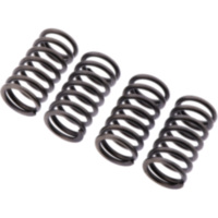 Clutch spring kit reinforced ebc CSK134