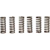 Clutch spring kit (6) CSK090