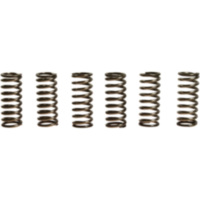 Clutch spring kit (6) CSK178