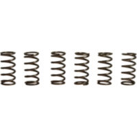 Clutch spring kit (6) CSK165