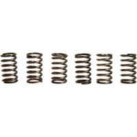 Clutch spring kit (6) CSK088