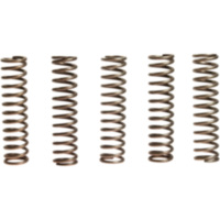 Clutch spring kit (5) CSK110