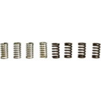 Clutch spring kit (8)