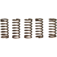 Clutch spring kit (6) CSK135