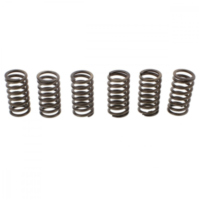 Ebc clutch spring set CSK099