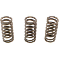 Ebc clutch spring set CSK203