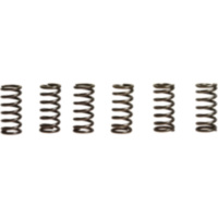 Clutch spring kit (6) CSK002