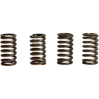 Clutch spring kit (4) ebc CSK115