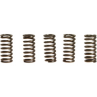 Clutch spring set ebc CSK185