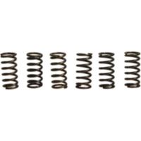 Clutch spring kit (6) CSK006