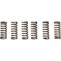 Clutch spring kit (6) CSK014