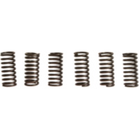 Clutch spring kit (6) CSK024