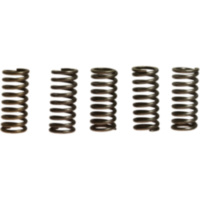 Clutch spring kit (5) CSK033