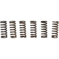 Clutch spring kit (6) CSK028