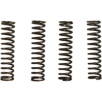 Clutch spring kit (4) CSK056