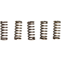 Clutch spring kit (5) CSK042