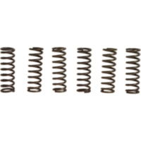 Clutch spring kit (6) CSK037