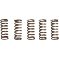 Clutch spring kit (5) CSK066