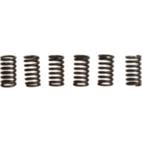 Clutch spring kit (6) CSK031