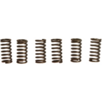 Clutch spring kit (6) CSK034