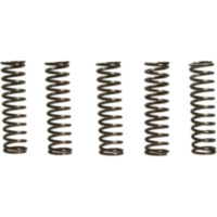 Clutch spring kit (5) CSK067