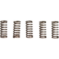 Clutch spring kit (5) CSK068