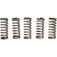 Clutch spring kit (5) CSK070